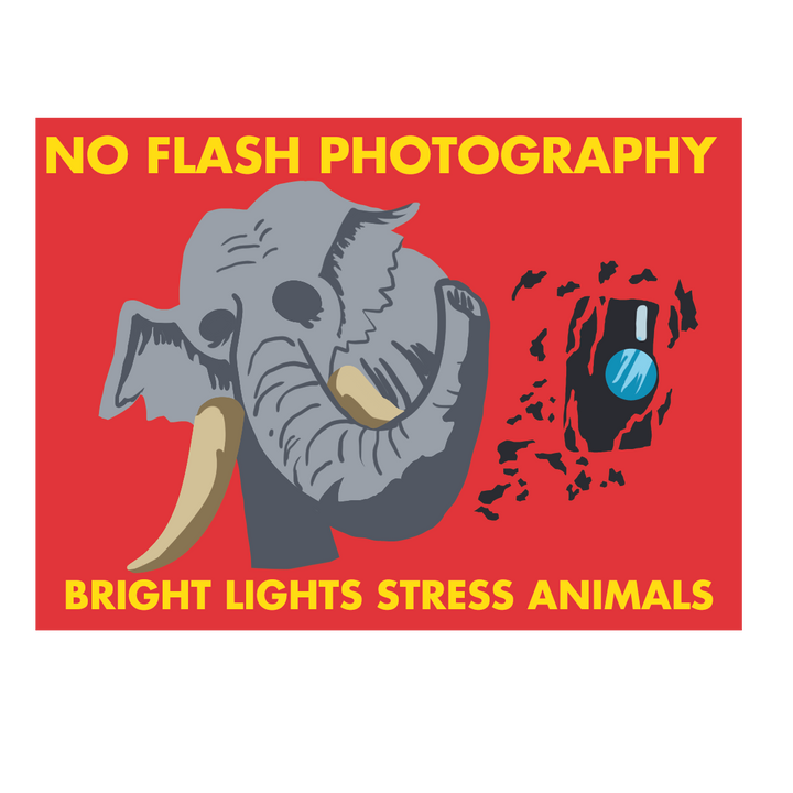 Whale Forest — National Park (Stickers Only)